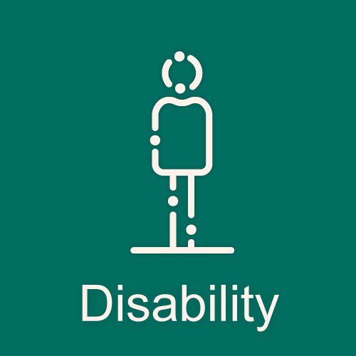 Button to open the data tool in the Disability dimension